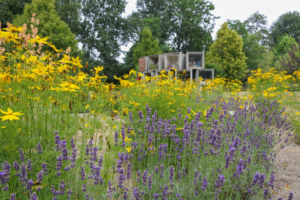 Verwendung von Stauden auf Friedhöfen