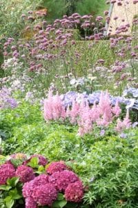 Stauden im Garten